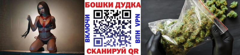 где купить наркоту  Сясьстрой  МАРИХУАНА конопля 